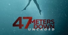 Filme completo 47 Meters Down: Uncaged