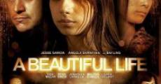 A Beautiful Life streaming