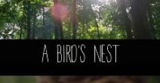 A Bird's Nest (2014)