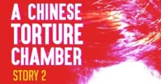 A Chinese Torture Chamber Story 2
