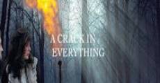 A Crack in Everything