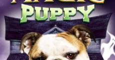 Filme completo A Halloween Puppy