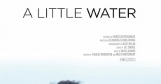 A Little Water (2021)