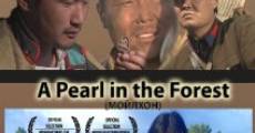 Filme completo A Pearl in the Forest