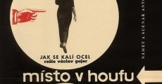 Místo v houfu (1964)