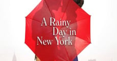 A Rainy Day in New York film complet
