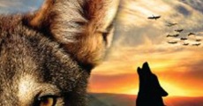 A Tale of a Wolf film complet