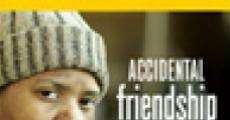 Accidental Friendship film complet