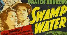 Swamp Water film complet