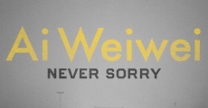 Ai Weiwei: Never Sorry streaming