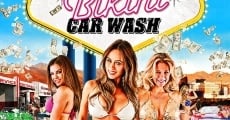 All American Bikini Car Wash film complet