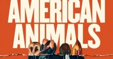 American Animals film complet