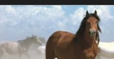 American Mustang film complet