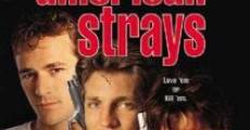 American Strays film complet