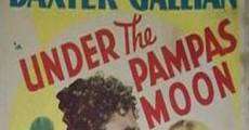 Under the Pampas Moon film complet