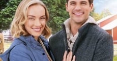 Filme completo Timeless Love