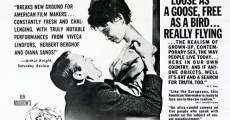 An Affair of the Skin (1963)