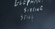An Elephant sitting still streaming