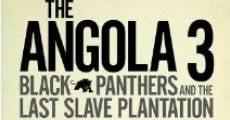 Angola 3: Black Panthers and the Last Slave Plantation (2008)
