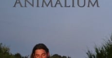 Filme completo Animalium