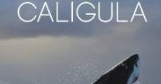 Anthony Jeselnik: Caligula film complet