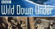 Filme completo Wild Down Under