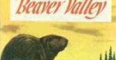 Beaver Valley - True Life Adventures film complet