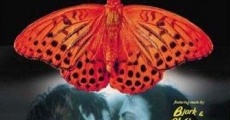 Butterfly Kiss - Il bacio della farfalla