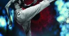 Besouro le maître de Capoeira streaming
