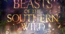 Beasts of the Southern Wild film complet