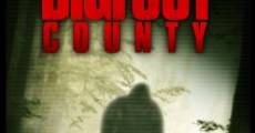 Bigfoot County