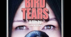 Bird Tears streaming