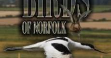 Birds of Norfolk: A Bird Watchers Dream