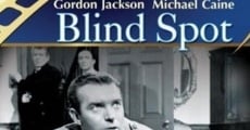 Blind Spot streaming