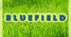 Bluefield streaming