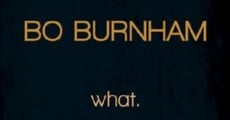 Bo Burnham: what. streaming