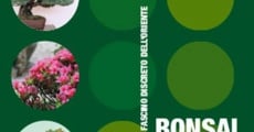 Filme completo Bonsai, natura a misura d'uomo