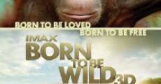 Born to Be Wild 3D streaming