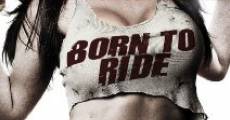 Born to Ride streaming