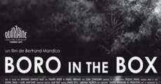 Boro in the Box film complet