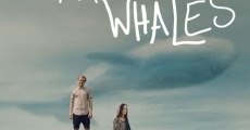 Filme completo Braking for Whales