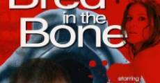 Bred in the Bone (2006)