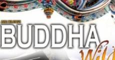 Buddha Wild: Monk in a Hut streaming