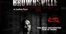 Bullets Over Brownsville streaming