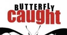 Butterfly Caught (2017)