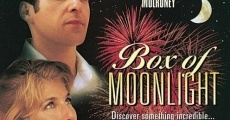 Box of Moonlight film complet