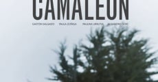 Camaleón (2016)