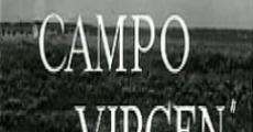 Campo virgen streaming