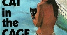 Cat in the Cage film complet