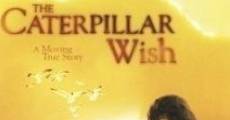 Filme completo Caterpillar Wish